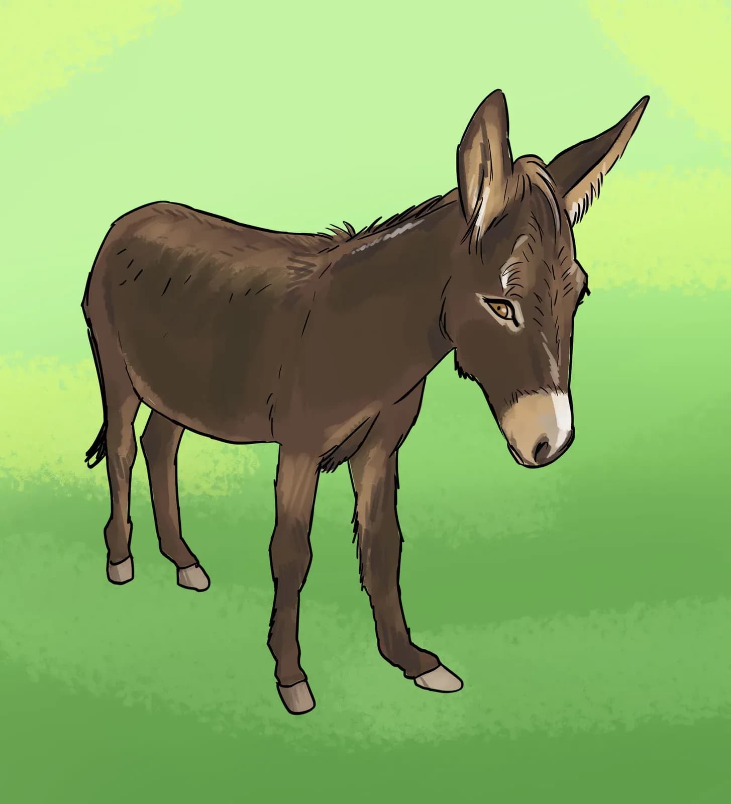 Ilustración de un burro de pie sobre un prado verde