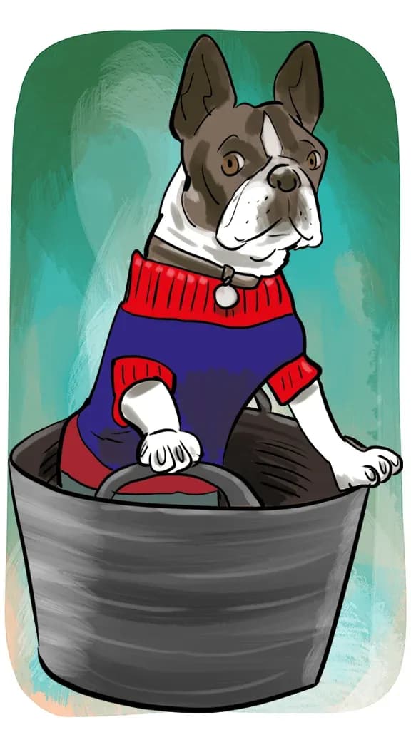 Ilustración de un bulldog francés con jersey dentro de la cesta de la bicicleta